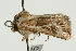  ( - UKLB26H12)  @11 [ ] CreativeCommons - Attribution (2009) Unspecified Centre for Biodiversity Genomics