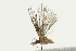  ( - UKLB30A03)  @12 [ ] CreativeCommons - Attribution (2009) Unspecified Centre for Biodiversity Genomics