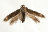  ( - UKLB30C09)  @13 [ ] CreativeCommons - Attribution (2009) Unspecified Centre for Biodiversity Genomics