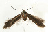  ( - UKLB30C10)  @13 [ ] CreativeCommons - Attribution (2009) Unspecified Centre for Biodiversity Genomics