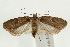  ( - UKLB30D08)  @14 [ ] CreativeCommons - Attribution (2009) Unspecified Centre for Biodiversity Genomics