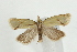  ( - UKLB30D11)  @13 [ ] CreativeCommons - Attribution (2009) Unspecified Centre for Biodiversity Genomics