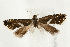  ( - UKLB30E04)  @12 [ ] CreativeCommons - Attribution (2009) Unspecified Centre for Biodiversity Genomics