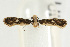  ( - UKLB30E07)  @13 [ ] CreativeCommons - Attribution (2009) Unspecified Centre for Biodiversity Genomics