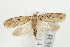  ( - UKLB30E09)  @14 [ ] CreativeCommons - Attribution (2009) Unspecified Centre for Biodiversity Genomics