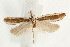  ( - UKLB30G01)  @13 [ ] CreativeCommons - Attribution (2009) Unspecified Centre for Biodiversity Genomics