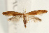  ( - UKLB30G08)  @13 [ ] CreativeCommons - Attribution (2009) Unspecified Centre for Biodiversity Genomics
