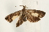  ( - UKLB30H04)  @12 [ ] CreativeCommons - Attribution (2009) Unspecified Centre for Biodiversity Genomics