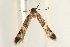  ( - UKLB30H07)  @12 [ ] CreativeCommons - Attribution (2009) Unspecified Centre for Biodiversity Genomics