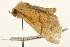  ( - UKLB22D08)  @14 [ ] CreativeCommons - Attribution (2009) Unspecified Centre for Biodiversity Genomics