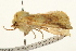  ( - UKLB22D09)  @11 [ ] CreativeCommons - Attribution (2009) Unspecified Centre for Biodiversity Genomics