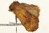  ( - UKLB22E04)  @13 [ ] CreativeCommons - Attribution (2009) Unspecified Centre for Biodiversity Genomics