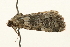  ( - UKLB22G07)  @13 [ ] CreativeCommons - Attribution (2009) Unspecified Centre for Biodiversity Genomics
