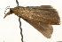  ( - UKLB22G11)  @12 [ ] CreativeCommons - Attribution (2009) Unspecified Centre for Biodiversity Genomics