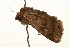  ( - UKLB25A11)  @13 [ ] CreativeCommons - Attribution (2009) Unspecified Centre for Biodiversity Genomics
