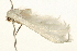  ( - UKLB25F04)  @12 [ ] CreativeCommons - Attribution (2009) Unspecified Centre for Biodiversity Genomics