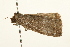  ( - UKLB25G06)  @12 [ ] CreativeCommons - Attribution (2009) Unspecified Centre for Biodiversity Genomics
