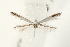  ( - UKLB27B11)  @13 [ ] CreativeCommons - Attribution (2009) Unspecified Centre for Biodiversity Genomics