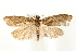  ( - UKLB27C10)  @14 [ ] CreativeCommons - Attribution (2009) Unspecified Centre for Biodiversity Genomics