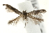  ( - UKLB27D01.fail1)  @11 [ ] CreativeCommons - Attribution (2009) Unspecified Centre for Biodiversity Genomics