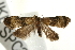  ( - UKLB27D06)  @12 [ ] CreativeCommons - Attribution (2009) Unspecified Centre for Biodiversity Genomics