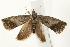  ( - UKLB27D10)  @13 [ ] CreativeCommons - Attribution (2009) Unspecified Centre for Biodiversity Genomics