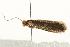  ( - UKLB27F04)  @13 [ ] CreativeCommons - Attribution (2009) Unspecified Centre for Biodiversity Genomics
