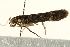  ( - UKLB27G11)  @12 [ ] CreativeCommons - Attribution (2009) Unspecified Centre for Biodiversity Genomics