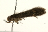  ( - UKLB27G12)  @12 [ ] CreativeCommons - Attribution (2009) Unspecified Centre for Biodiversity Genomics