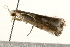  ( - UKLB28B03)  @12 [ ] CreativeCommons - Attribution (2009) Unspecified Centre for Biodiversity Genomics