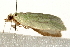  ( - UKLB28C08)  @11 [ ] CreativeCommons - Attribution (2009) Unspecified Centre for Biodiversity Genomics