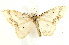  ( - UKLB28E05)  @14 [ ] CreativeCommons - Attribution (2009) Unspecified Centre for Biodiversity Genomics
