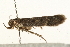 ( - UKLB28G01)  @12 [ ] CreativeCommons - Attribution (2009) Unspecified Centre for Biodiversity Genomics