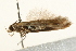  ( - UKLB28G02)  @11 [ ] CreativeCommons - Attribution (2009) Unspecified Centre for Biodiversity Genomics