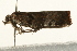  ( - UKLB28G04)  @12 [ ] CreativeCommons - Attribution (2009) Unspecified Centre for Biodiversity Genomics