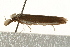  ( - UKLB28G11)  @12 [ ] CreativeCommons - Attribution (2009) Unspecified Centre for Biodiversity Genomics