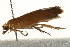  ( - UKLB28G12)  @13 [ ] CreativeCommons - Attribution (2009) Unspecified Centre for Biodiversity Genomics