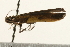 ( - UKLB28H01)  @12 [ ] CreativeCommons - Attribution (2009) Unspecified Centre for Biodiversity Genomics