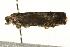  ( - UKLB28H09)  @13 [ ] CreativeCommons - Attribution (2009) Unspecified Centre for Biodiversity Genomics