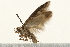  ( - UKLB29A02)  @12 [ ] CreativeCommons - Attribution (2009) Unspecified Centre for Biodiversity Genomics