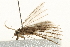  ( - UKLB29A07)  @12 [ ] CreativeCommons - Attribution (2009) Unspecified Centre for Biodiversity Genomics