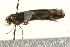  ( - UKLB29B01)  @12 [ ] CreativeCommons - Attribution (2009) Unspecified Centre for Biodiversity Genomics