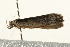  ( - UKLB29B05)  @12 [ ] CreativeCommons - Attribution (2009) Unspecified Centre for Biodiversity Genomics