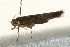  ( - UKLB29C01)  @12 [ ] CreativeCommons - Attribution (2009) Unspecified Centre for Biodiversity Genomics