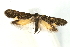  ( - UKLB29D10)  @13 [ ] CreativeCommons - Attribution (2009) Unspecified Centre for Biodiversity Genomics