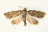  ( - UKLB29E05)  @13 [ ] CreativeCommons - Attribution (2009) Unspecified Centre for Biodiversity Genomics