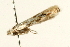  ( - UKLB29E08)  @12 [ ] CreativeCommons - Attribution (2009) Unspecified Centre for Biodiversity Genomics