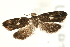  ( - UKLB29G02)  @12 [ ] CreativeCommons - Attribution (2009) Unspecified Centre for Biodiversity Genomics