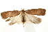  ( - UKLB29H02)  @13 [ ] CreativeCommons - Attribution (2009) Unspecified Centre for Biodiversity Genomics