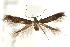  ( - UKLB29H03)  @14 [ ] CreativeCommons - Attribution (2009) Unspecified Centre for Biodiversity Genomics